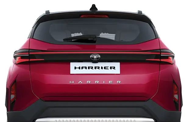 rear